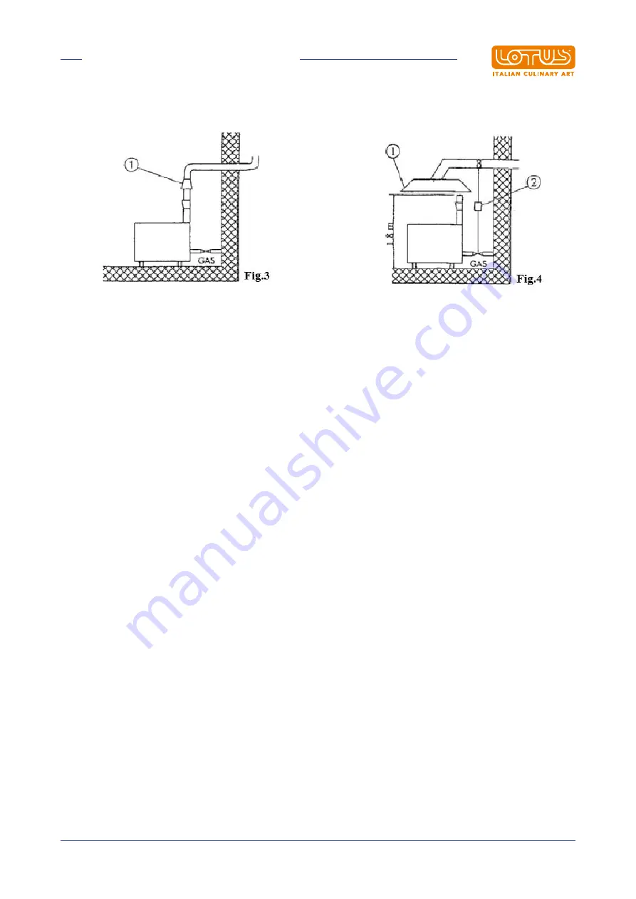 Lotus 08290850 Скачать руководство пользователя страница 21