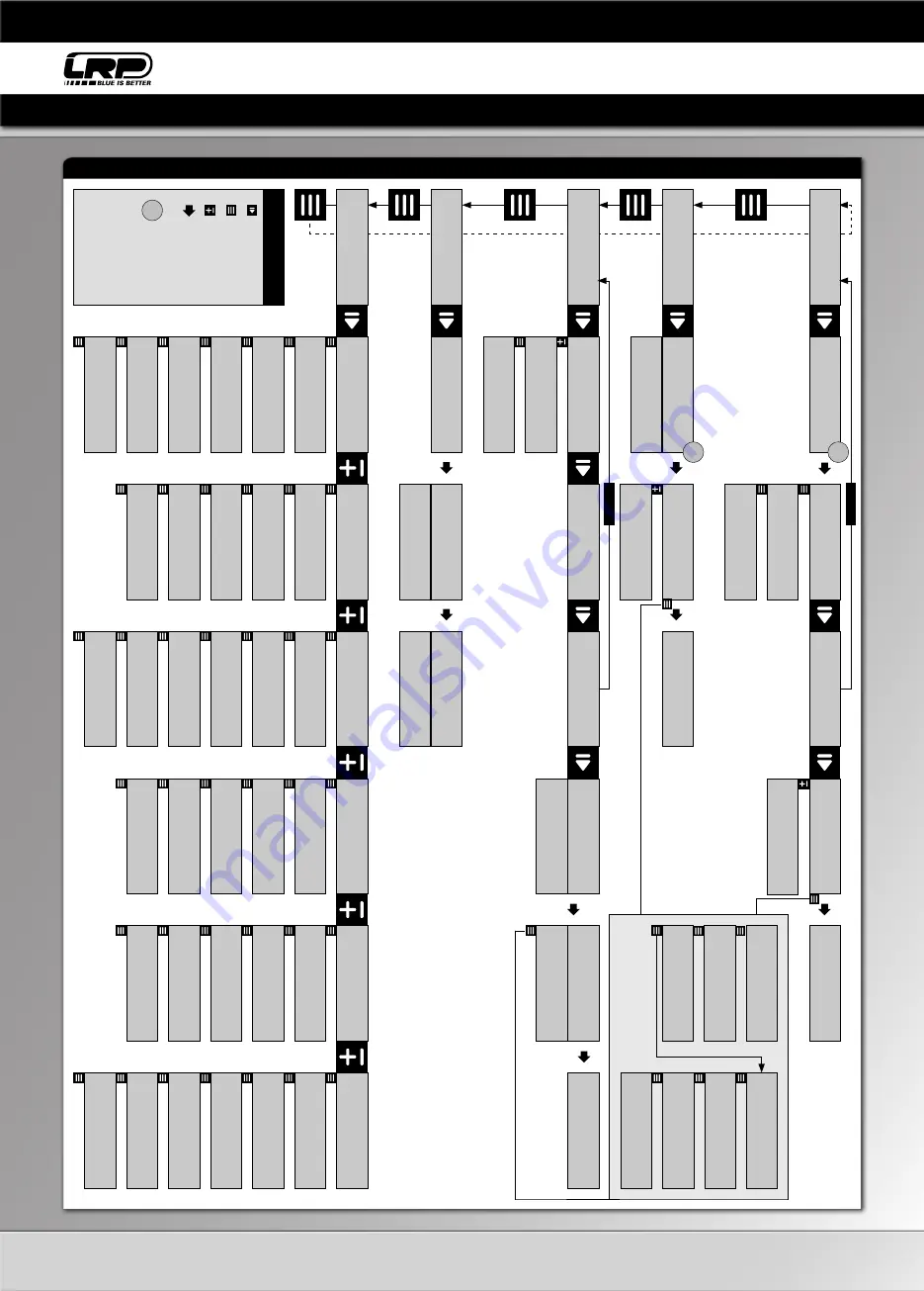 LRP PULSAR SPORT 41410EU User Manual Download Page 17