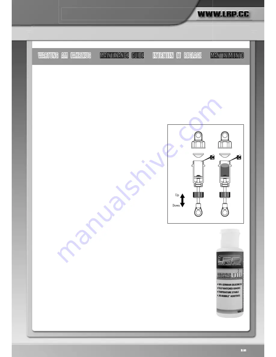 LRP S8 Rebel BXe User Manual Download Page 31