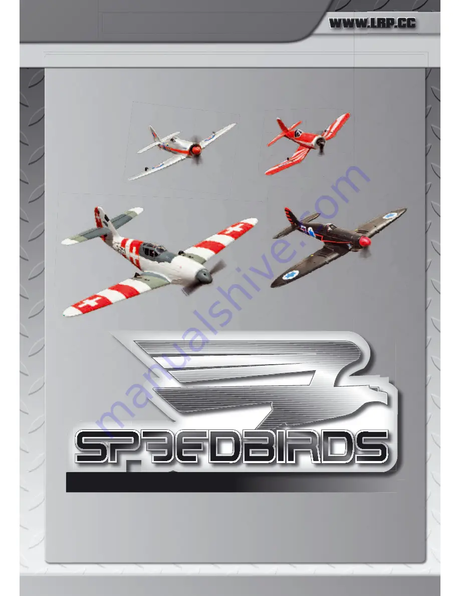 LRP SPEEDBIRDS User Manual Download Page 1