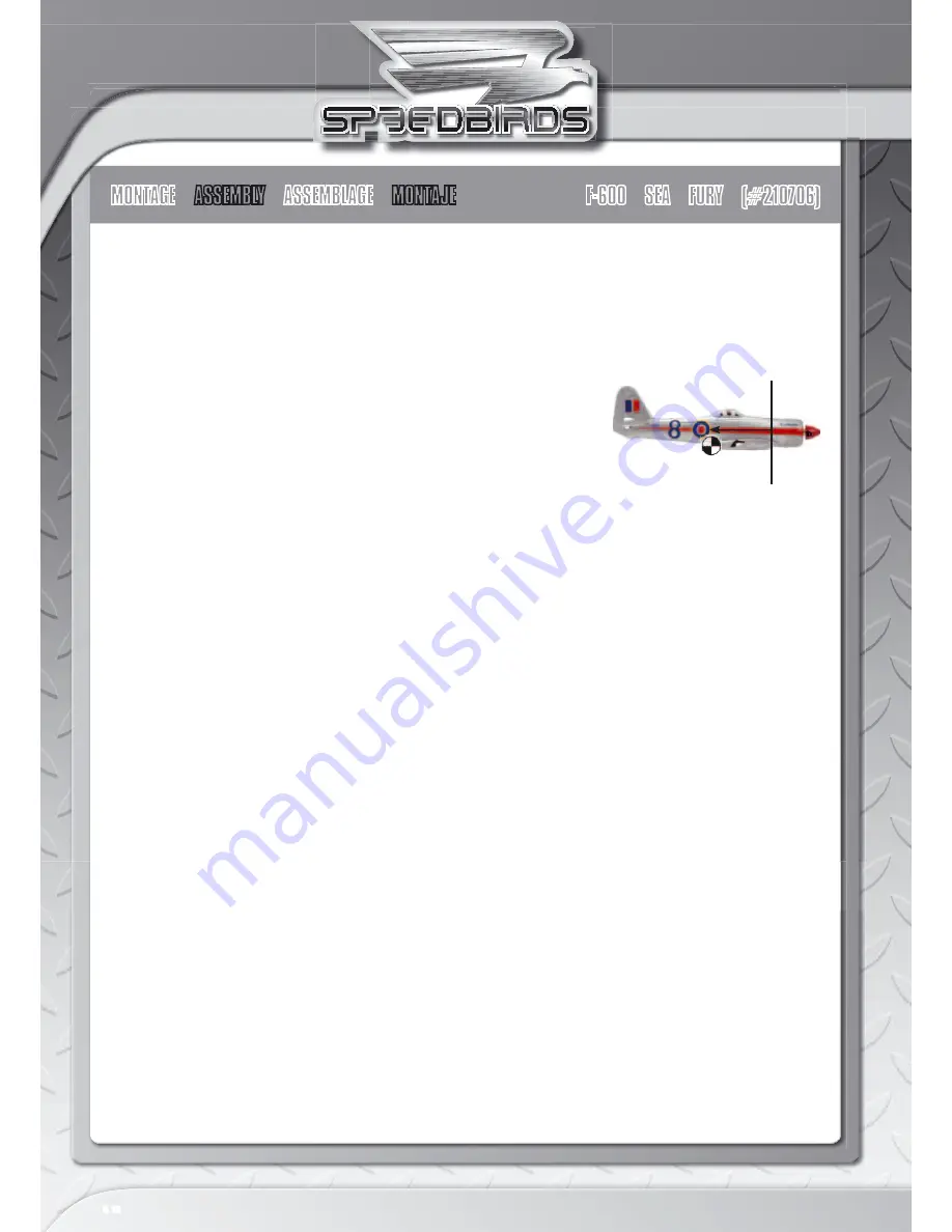 LRP SPEEDBIRDS User Manual Download Page 12