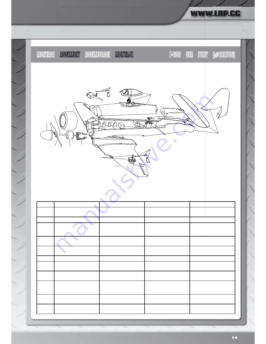 LRP SPEEDBIRDS User Manual Download Page 13