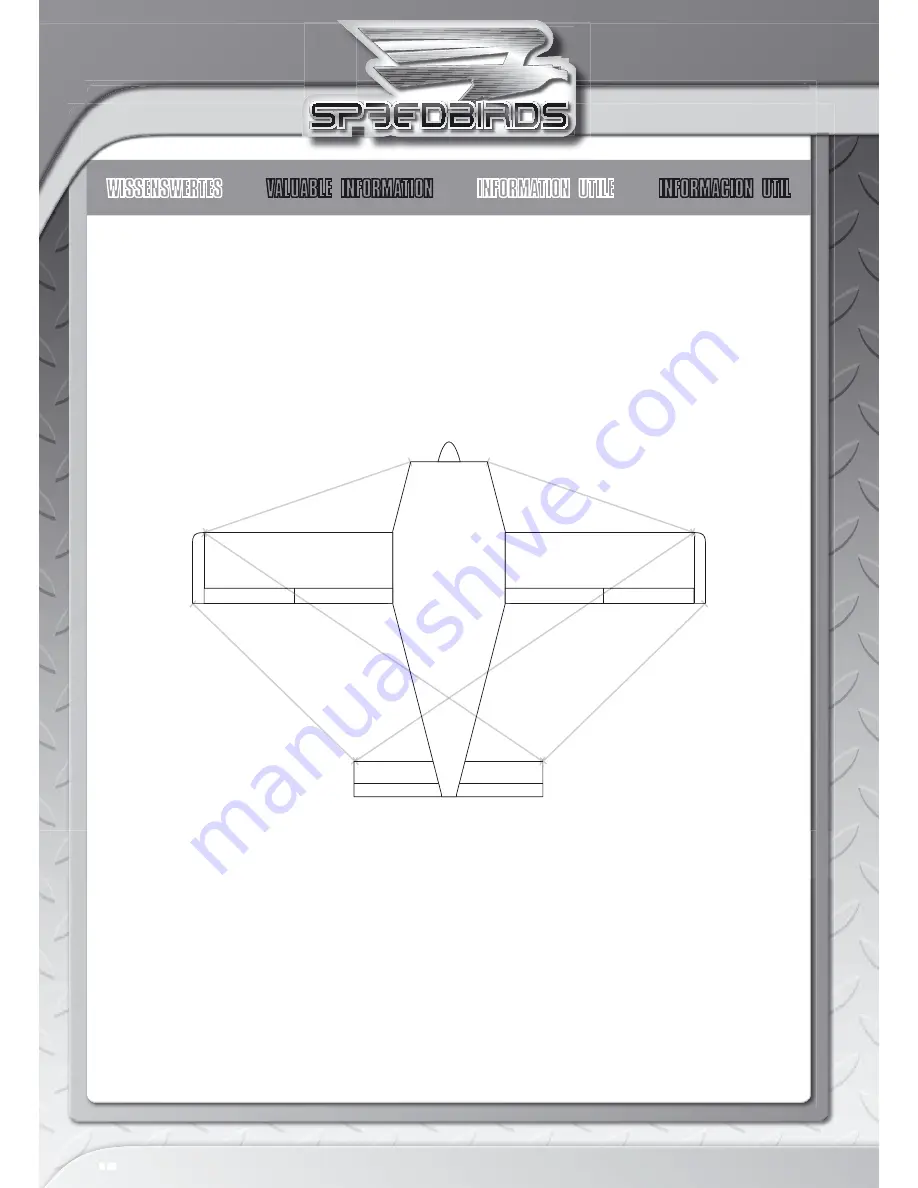 LRP SPEEDBIRDS User Manual Download Page 32