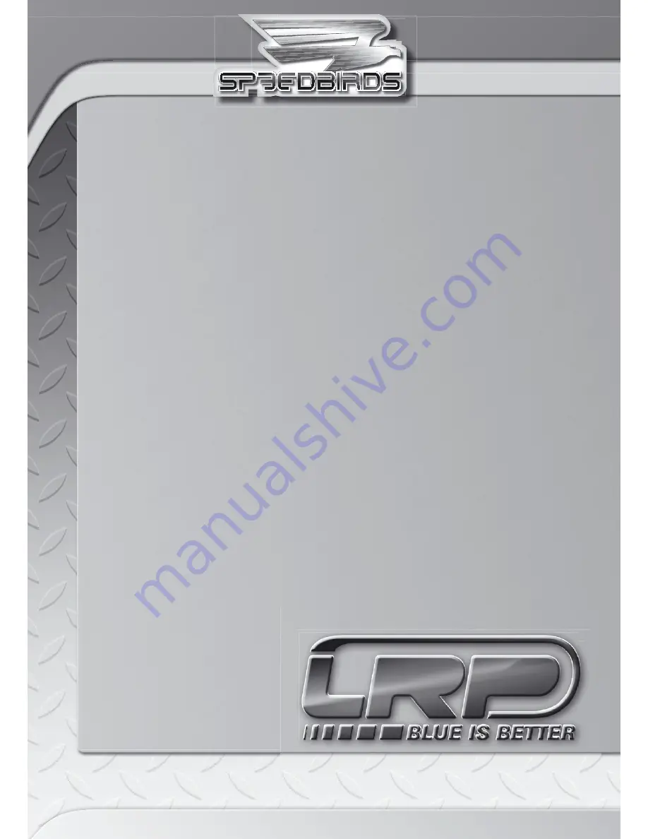 LRP SPEEDBIRDS User Manual Download Page 44