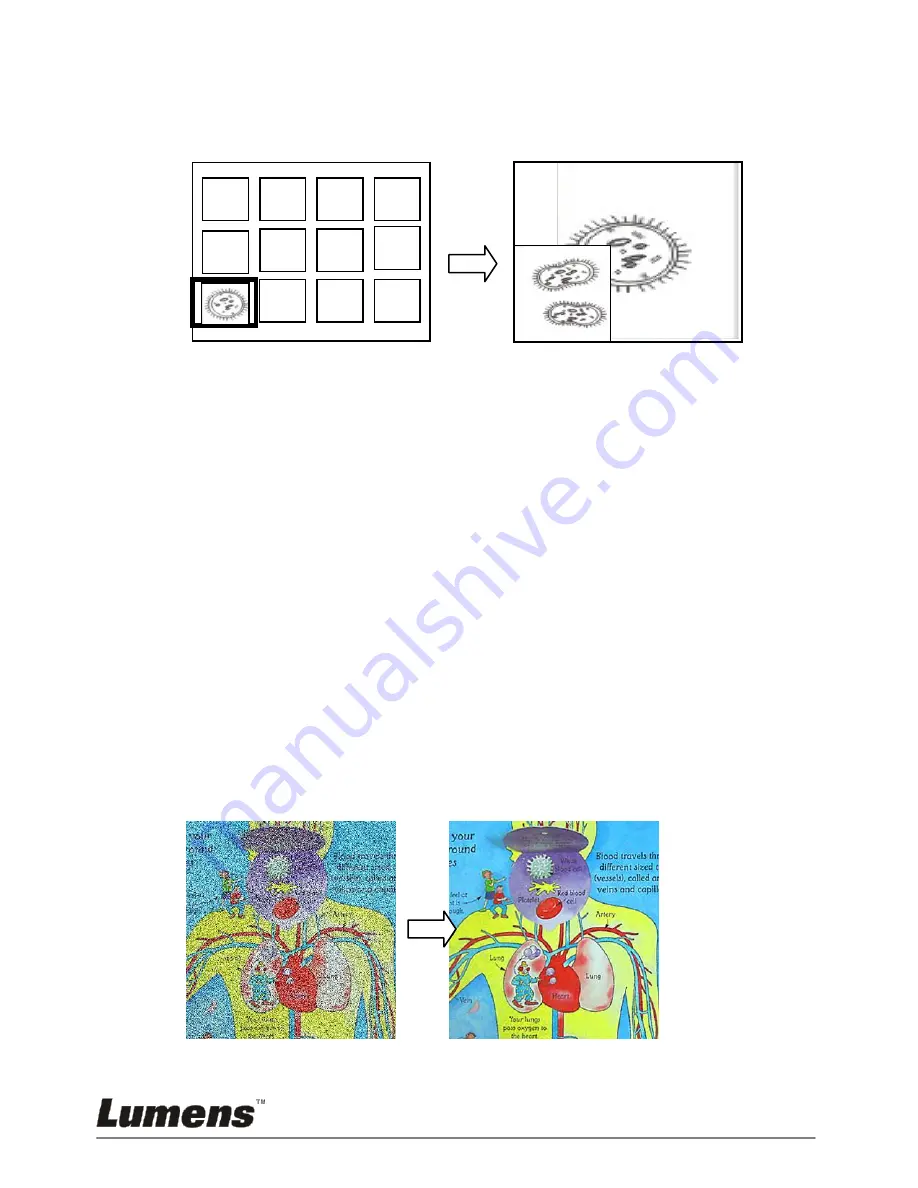 Lumens DC170 User Manual Download Page 33