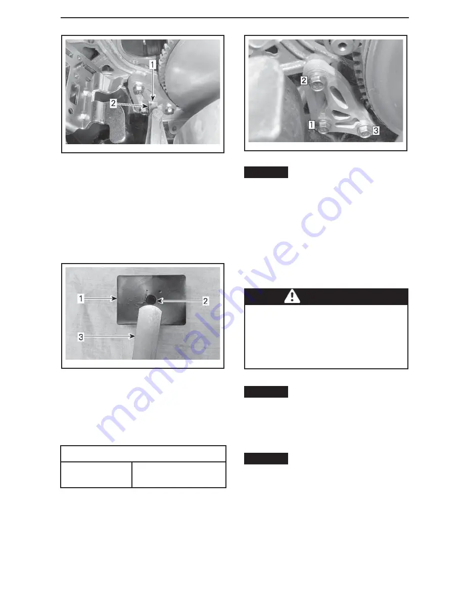 Lynx 800R E-TEC Operator'S Manual Download Page 125