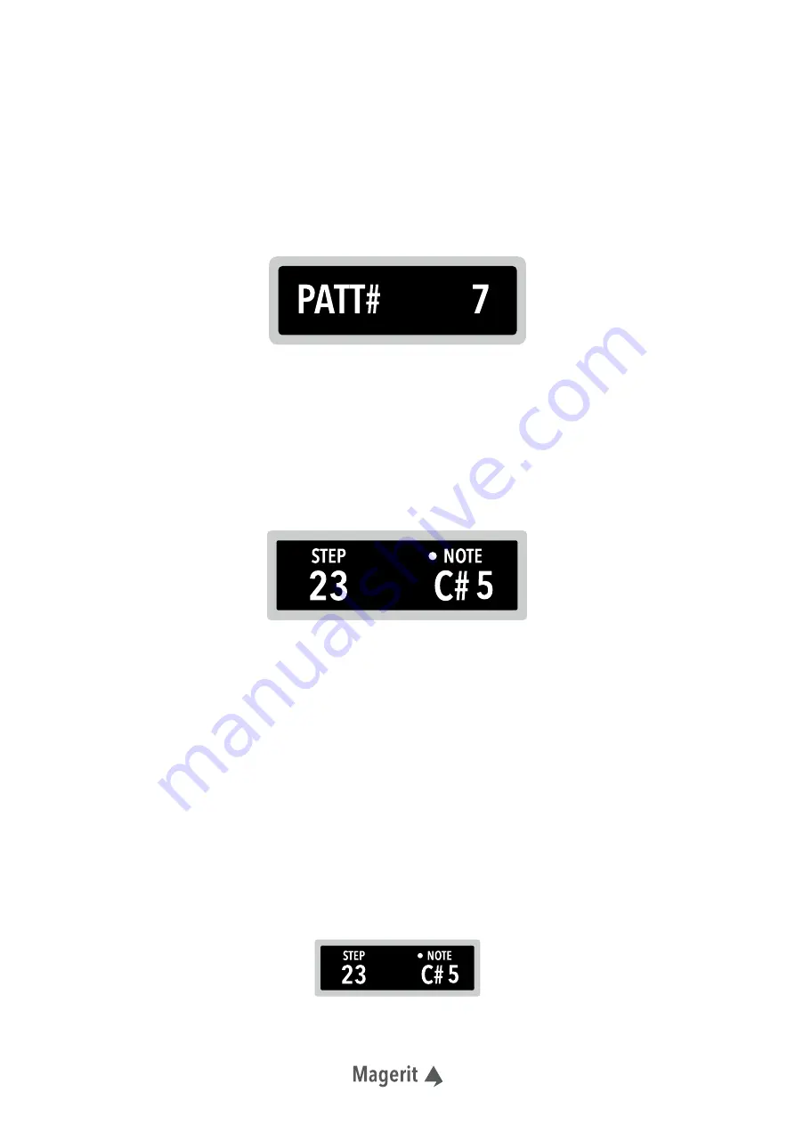 Magerit Polyseq User Manual Download Page 4