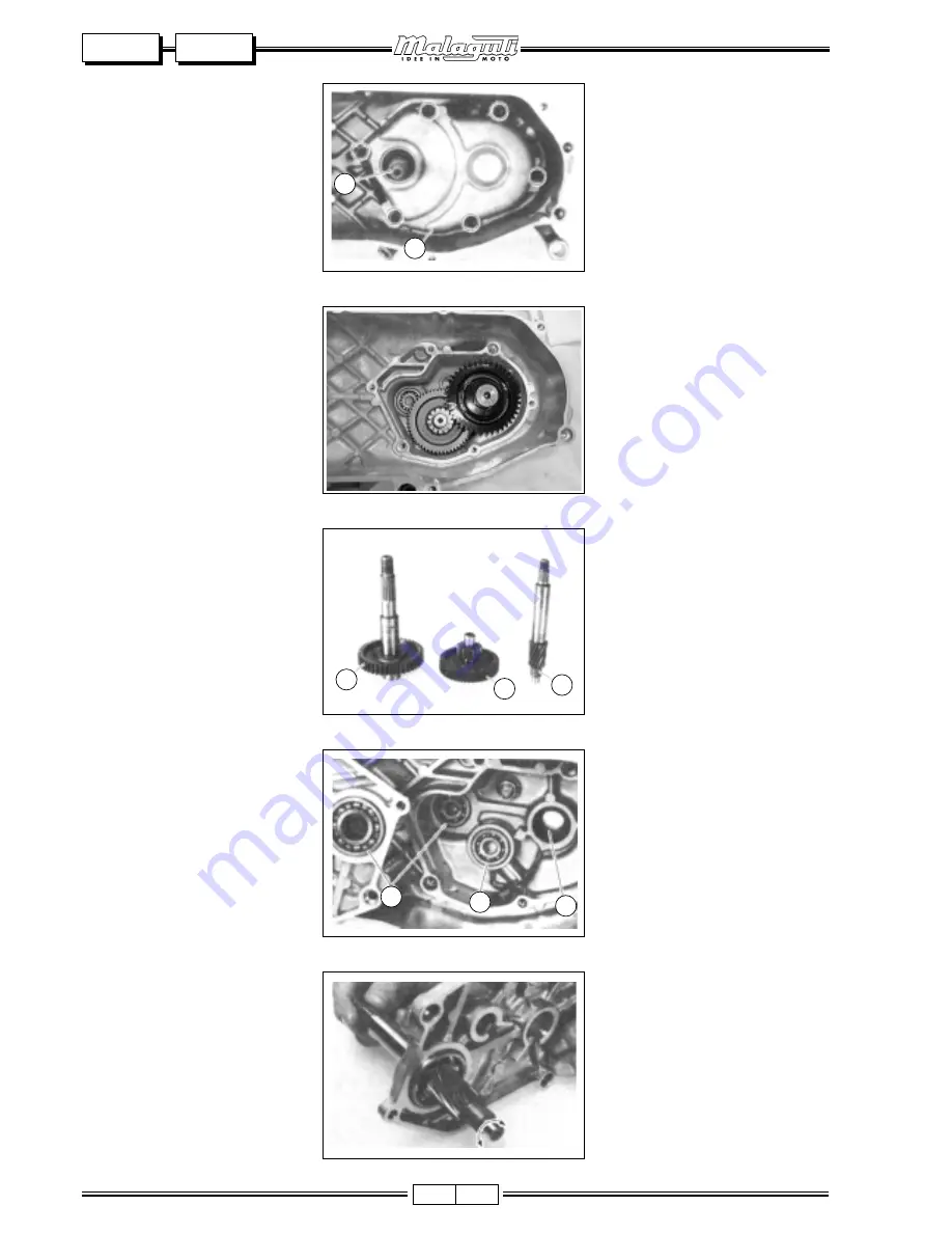 Malaguti Yesterday Service Manual Download Page 229