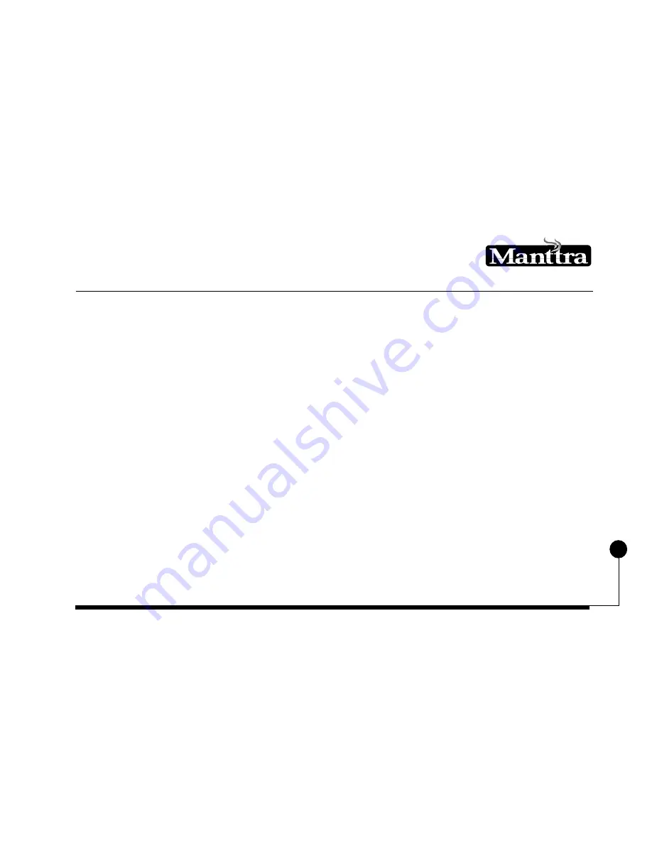 Manttra 34111 Скачать руководство пользователя страница 30
