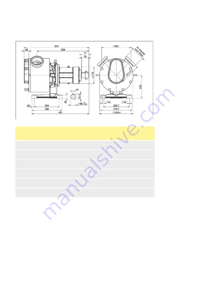 masosine SPS 100 Скачать руководство пользователя страница 20