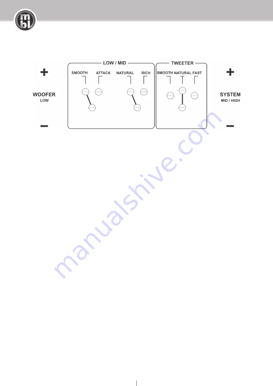 MBL 101 E MKII Owner'S Manual Download Page 13