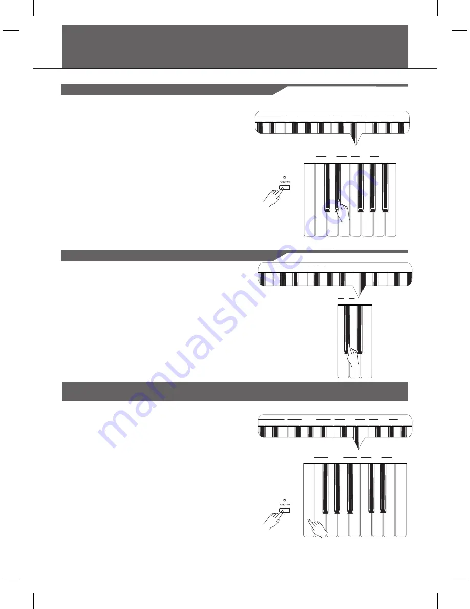 Medeli DP250 Owner'S Manual Download Page 12