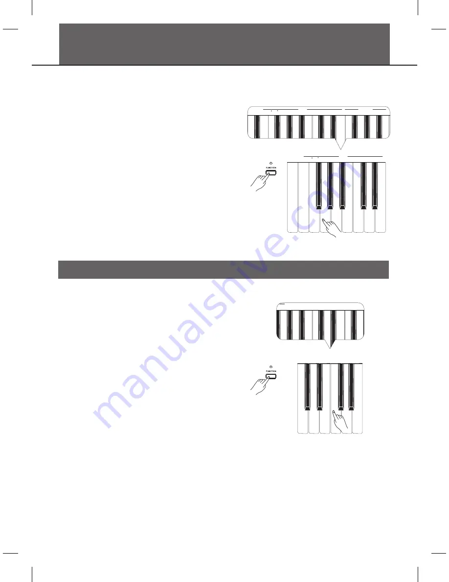 Medeli DP250 Owner'S Manual Download Page 13