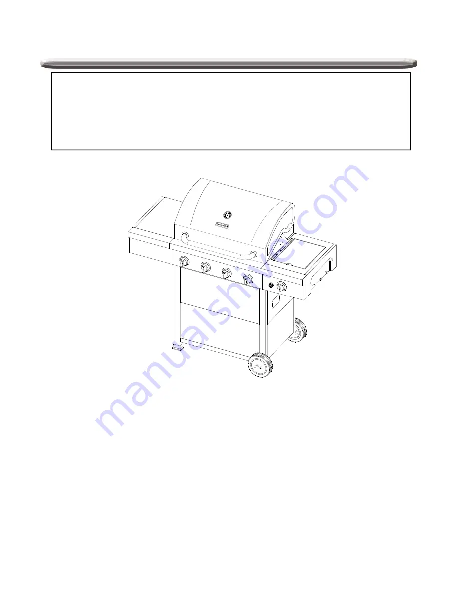 Megamaster Blaze 200 Operating Instructions Manual Download Page 25