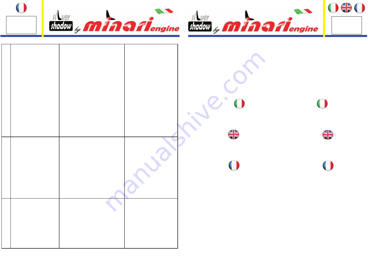 MINARI ENGINE silver shadow F1-AE User Manual Download Page 13