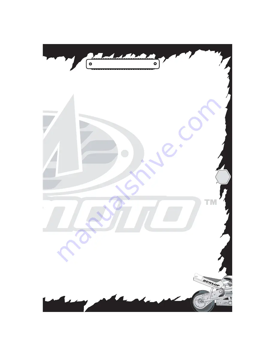 MINIMOTO Sport Racer Instruction Manual Download Page 14