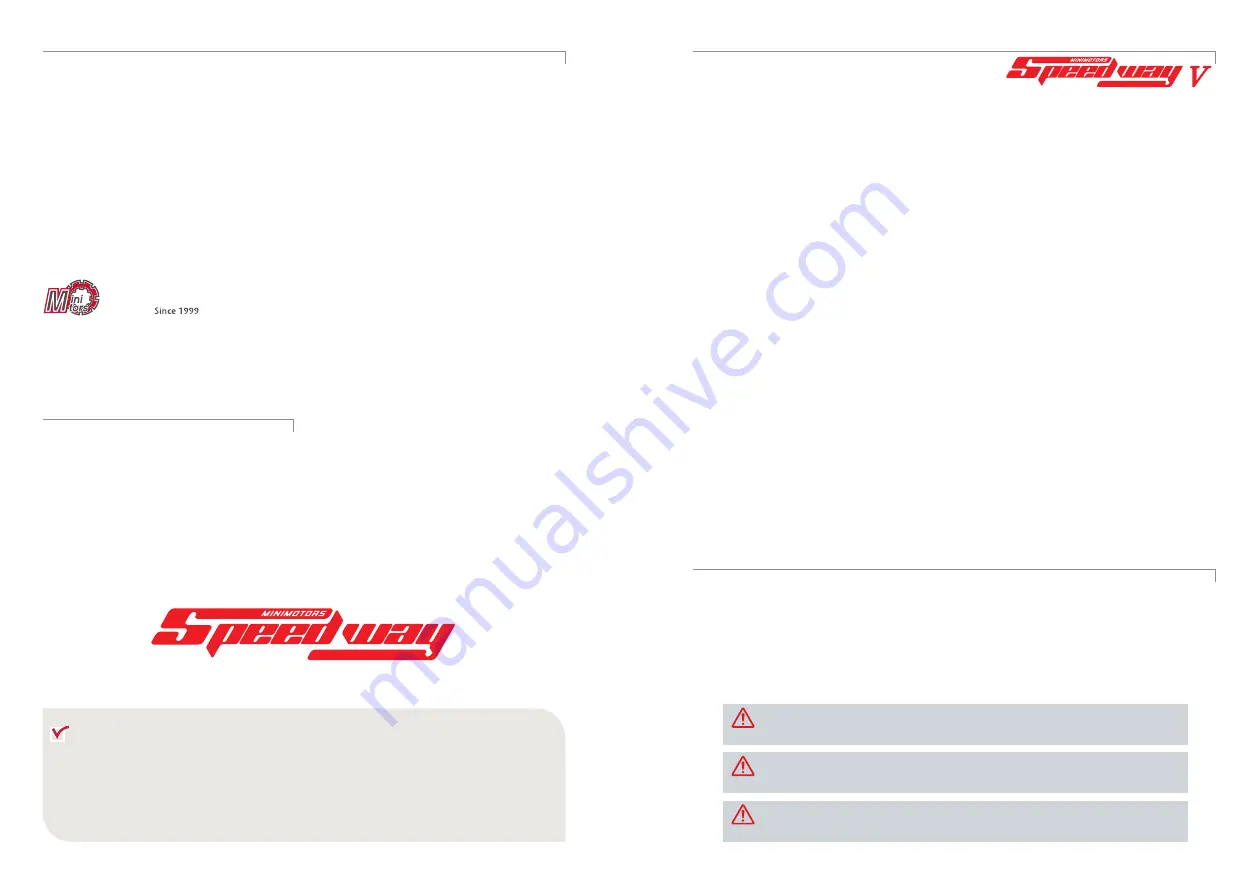 Minimotors SpeedWay V Скачать руководство пользователя страница 2
