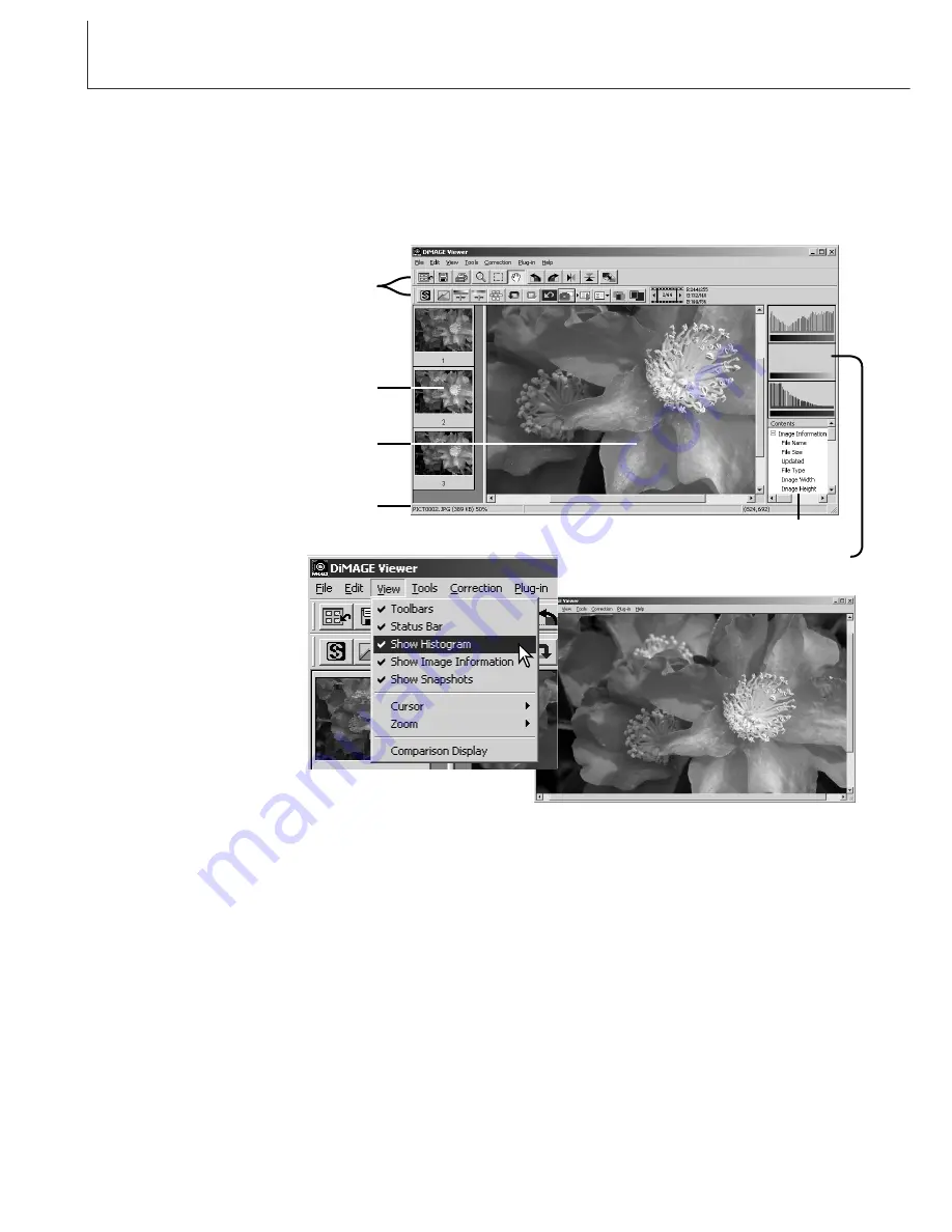 Minolta DIMAGE VIEWER 2.1 Instruction Manual Download Page 26