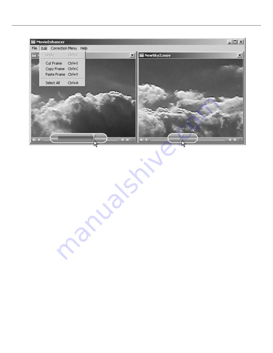 Minolta DIMAGE VIEWER 2.1 Instruction Manual Download Page 73