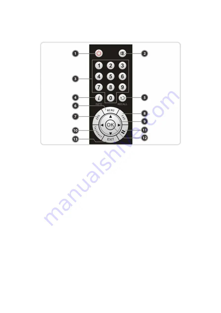 Miraclebox 9 Twin HD PVR Скачать руководство пользователя страница 13