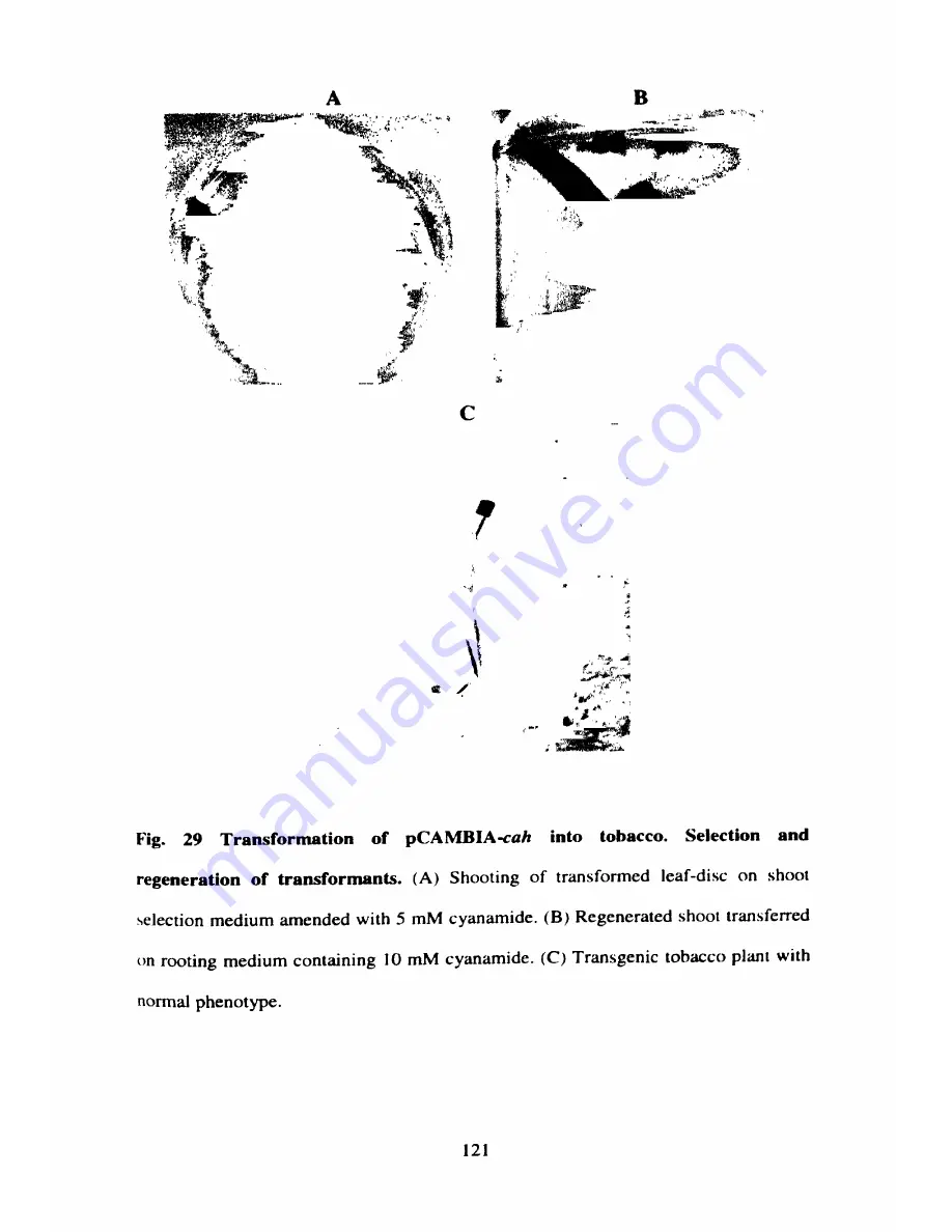 Mitsubishi Electric MXZ-18TV - E2 Service Manual Download Page 135