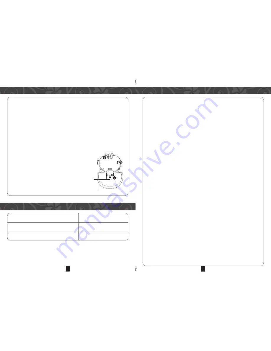 Morgan MTP-263S User Manual Download Page 3