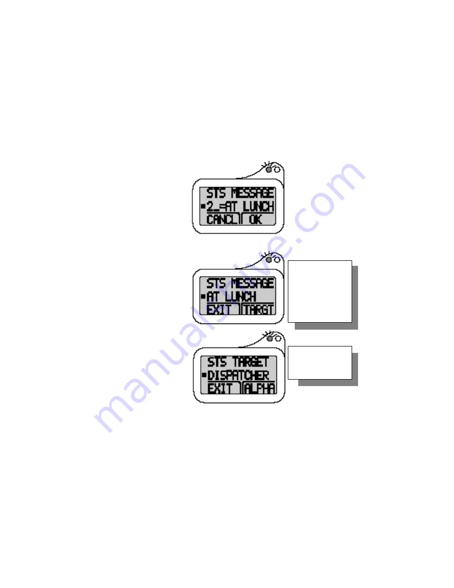 Motorola IDEN LM 3000E Getting Started Download Page 58