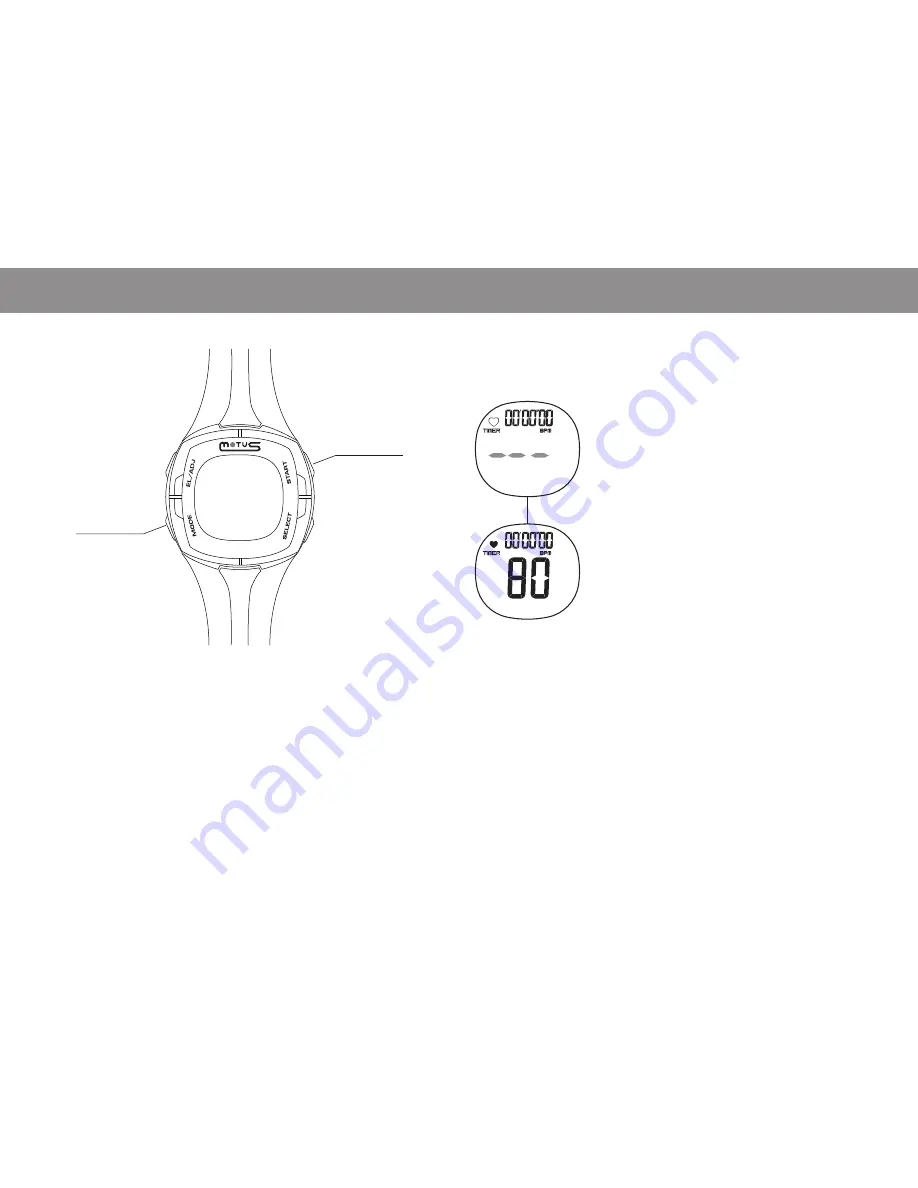 Motus TZ3 User Manual Download Page 8