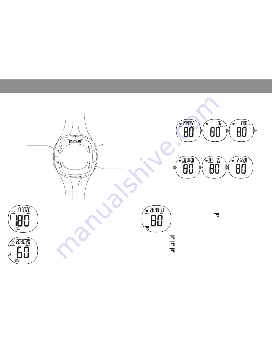 Motus TZ3 User Manual Download Page 9