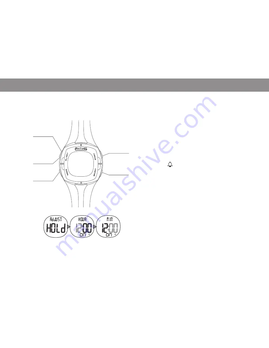 Motus TZ3 User Manual Download Page 12