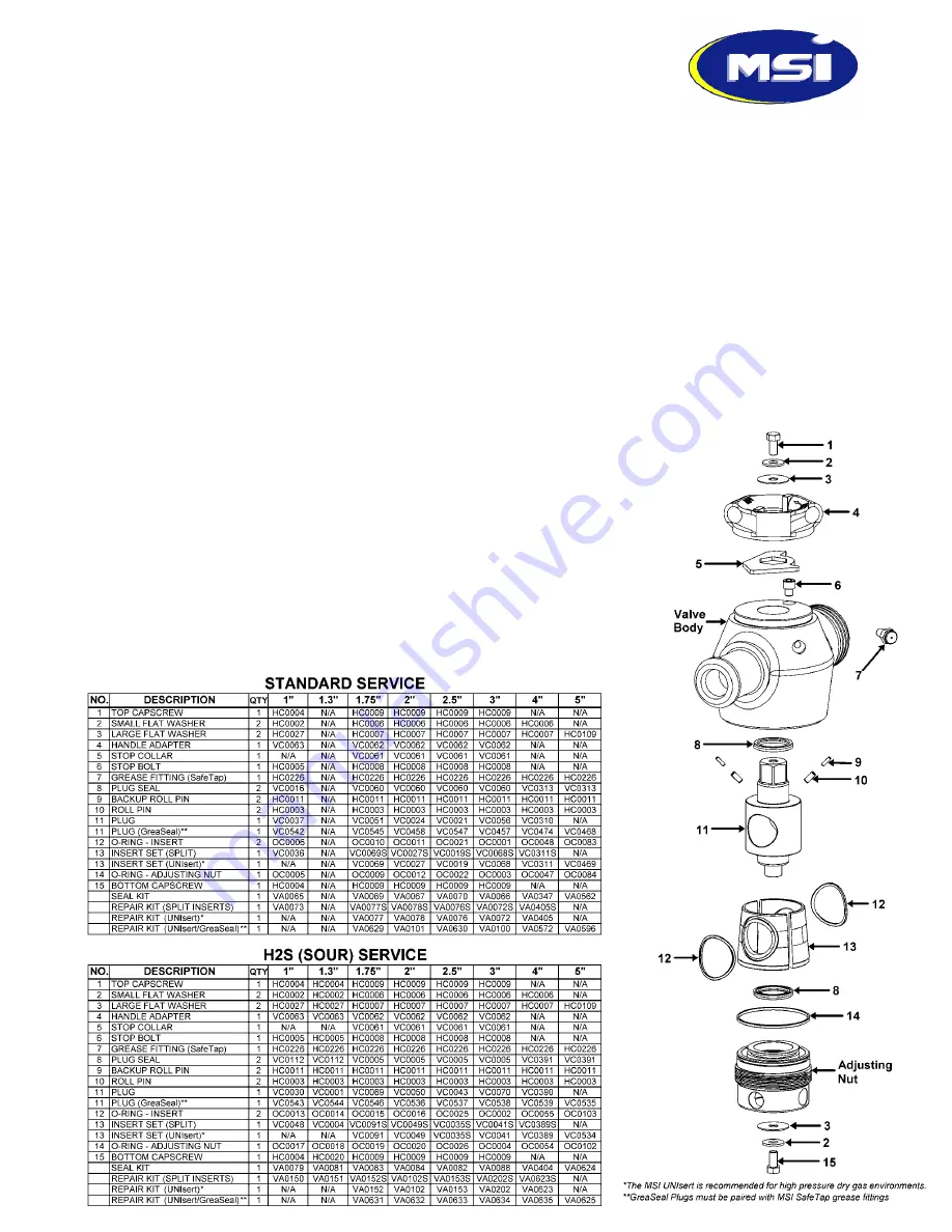 MSI LT Plug Valve Скачать руководство пользователя страница 1