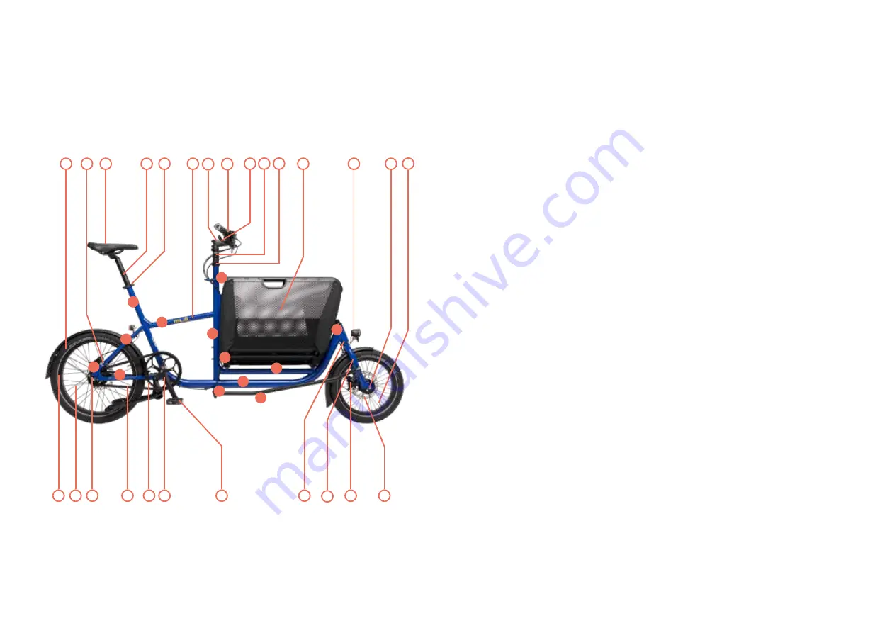 muli Muskel User Manual Download Page 4