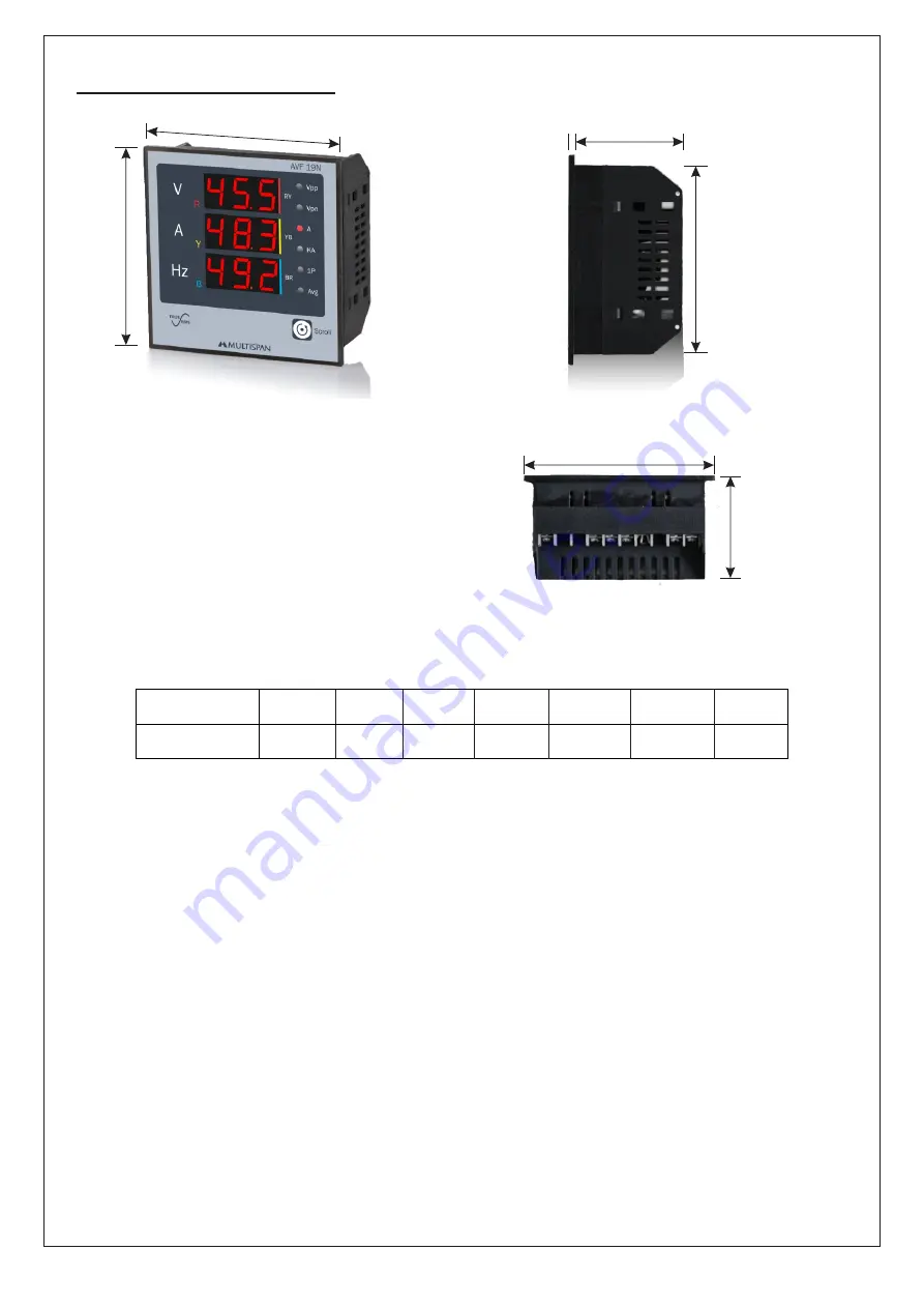 MULTISPAN AVF-19N Product Manual Download Page 6