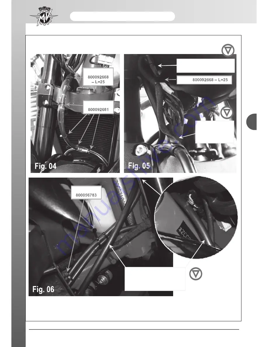 MV Agusta Rivale 800 Workshop Manual Download Page 241