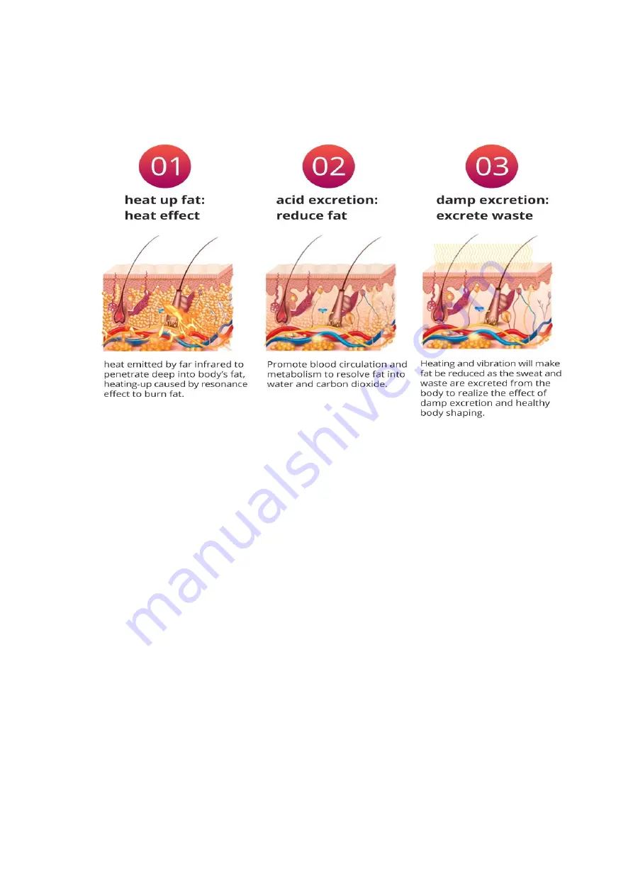 mychway WL-VS19 User Manual Download Page 5