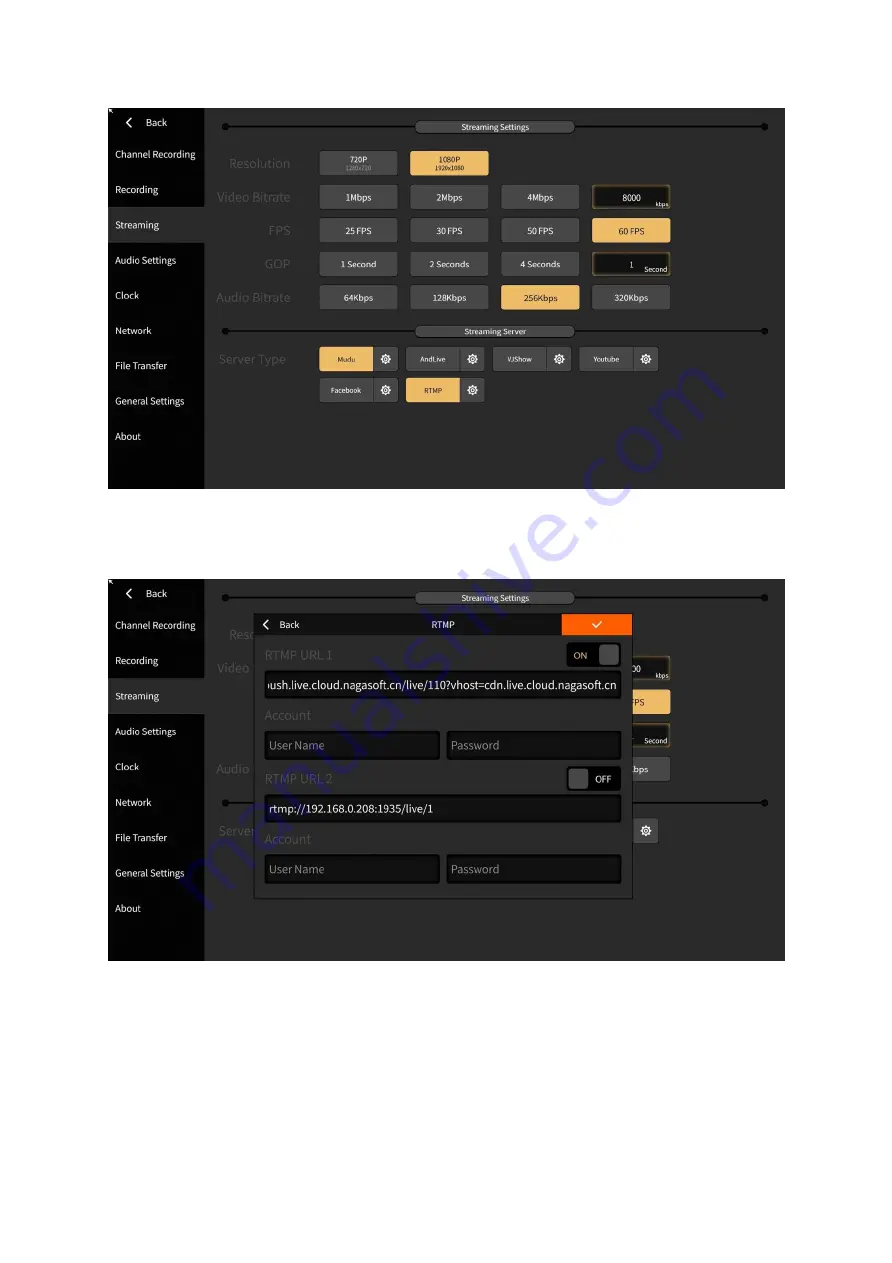 Nagasoft NSCaster Скачать руководство пользователя страница 19