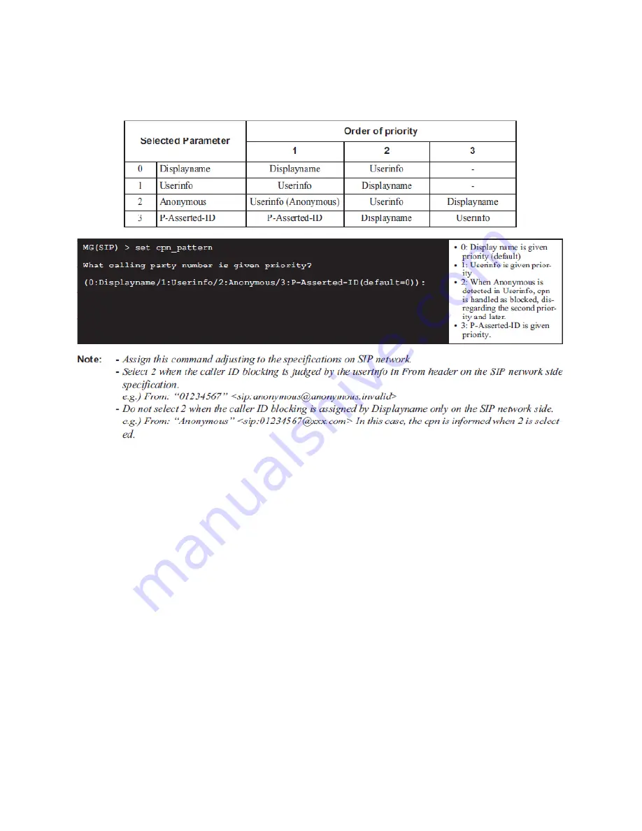 NEC MG-SIP Configuration Manual Download Page 31