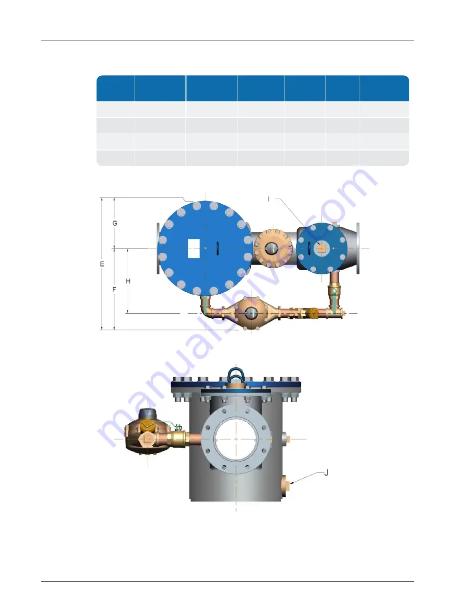 Neptune HP PROTECTUS III Installation And Maintenance Manual Download Page 21