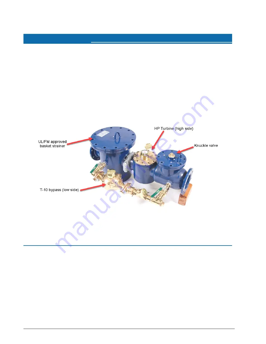 Neptune HP PROTECTUS III Installation And Maintenance Manual Download Page 29