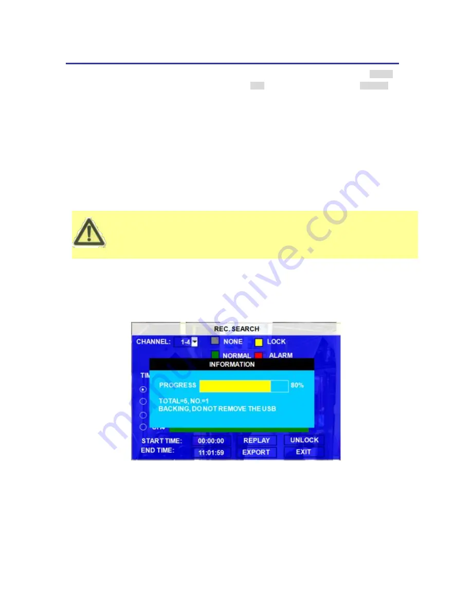 Ness IQ-MDVR User Manual Download Page 13