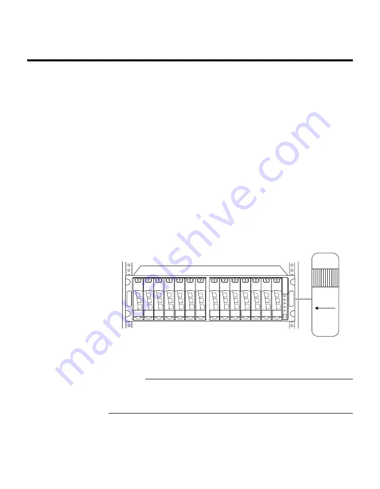 NetApp DiskShelf14mk2 FC Скачать руководство пользователя страница 10