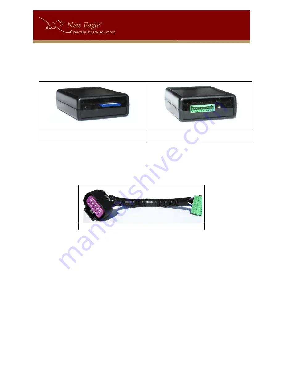 New Eagle Data Logger User Manual Download Page 5