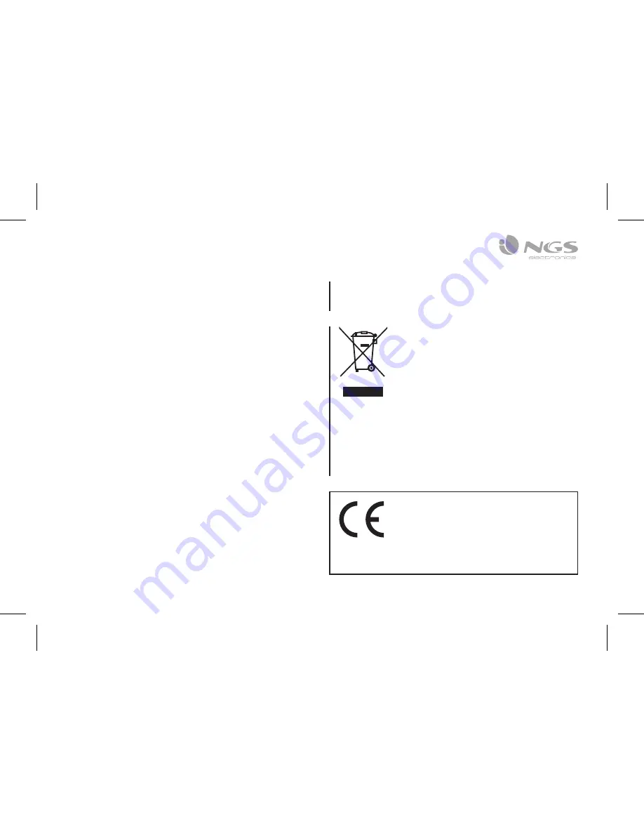 NGS ROLLER FLOW User Manual Download Page 43