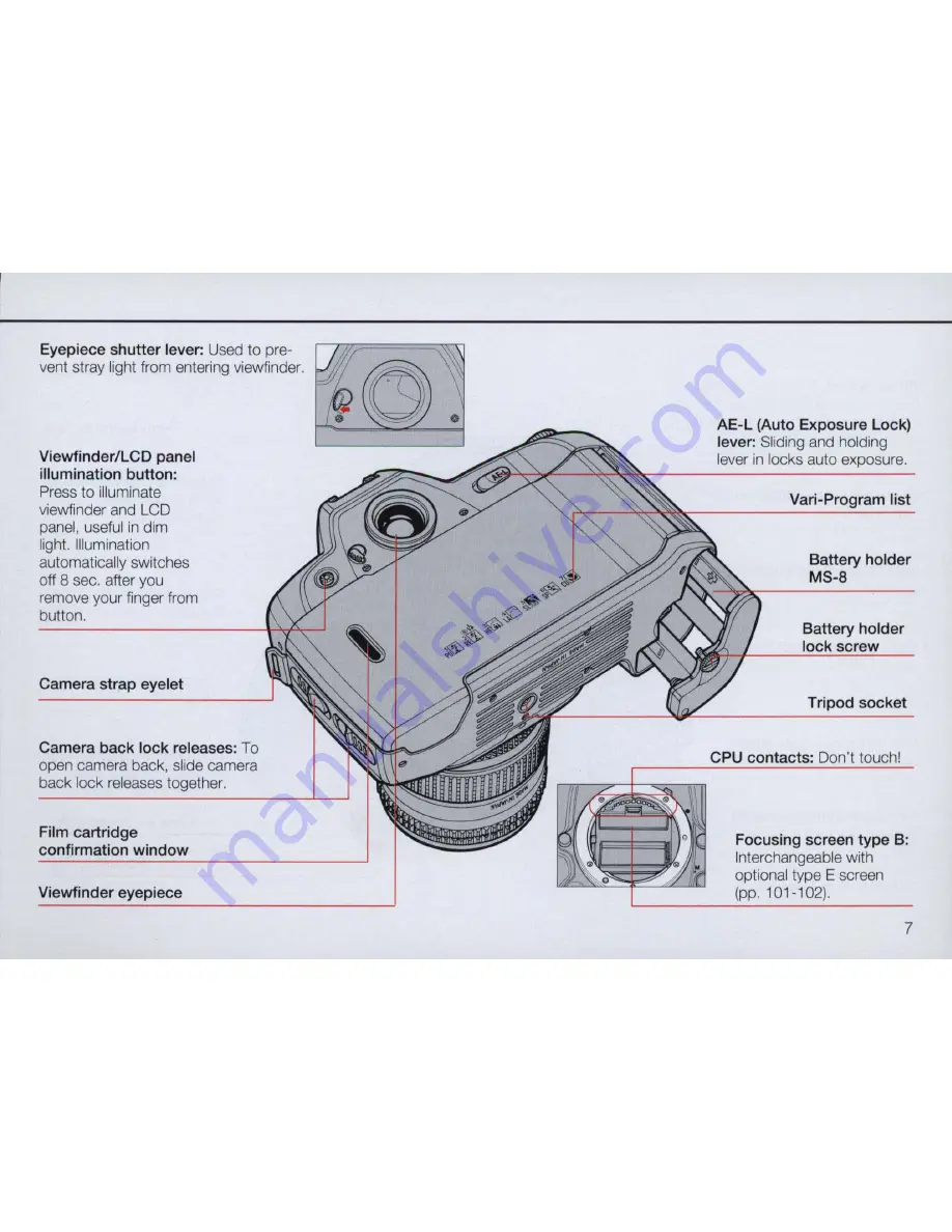 Nikon N90 AF Скачать руководство пользователя страница 7