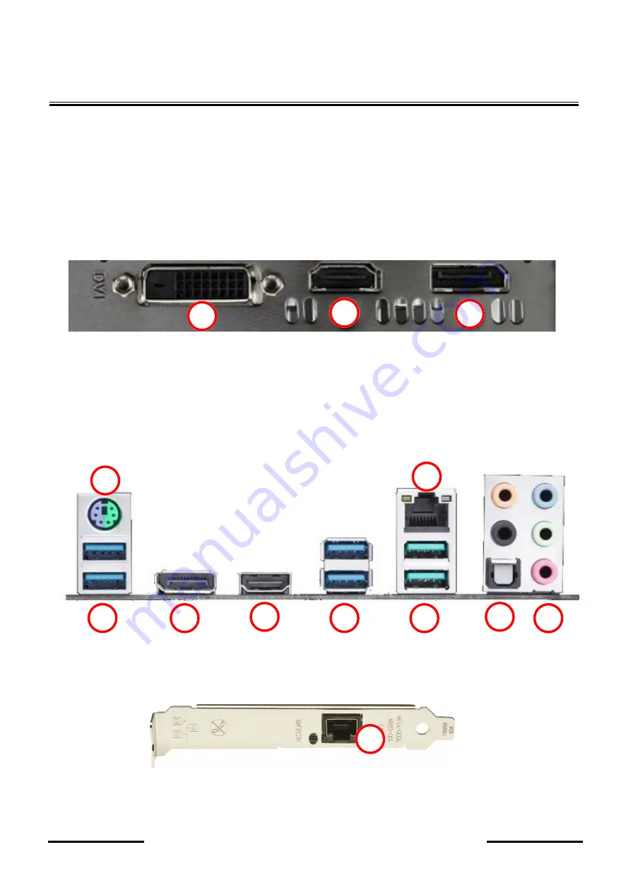 Novus NMS CLIENT 3-T-II Startup Manual Download Page 19