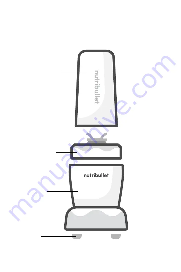 NUTRIBULLET PRO 1000 User Manual Download Page 55