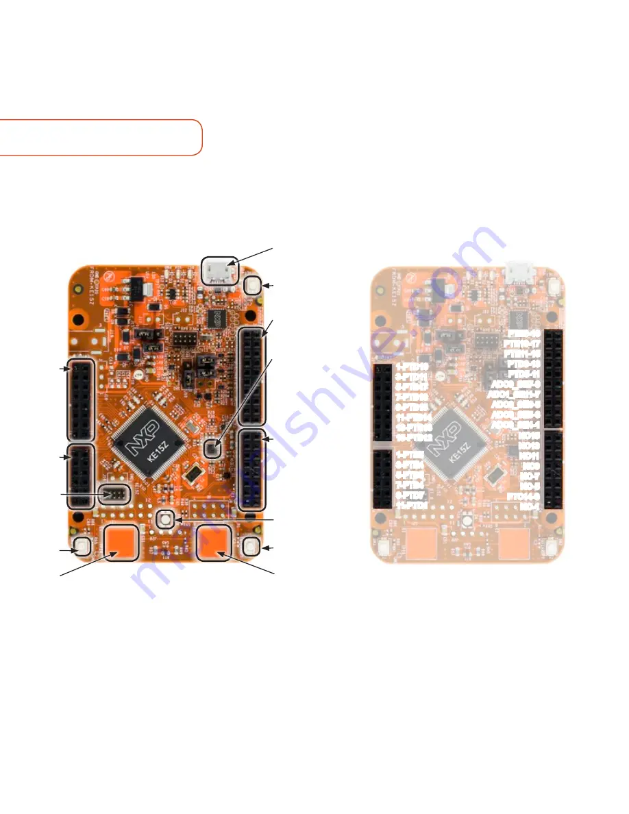 NXP Semiconductors FRDM-KE15Z Quick Start Manual Download Page 2