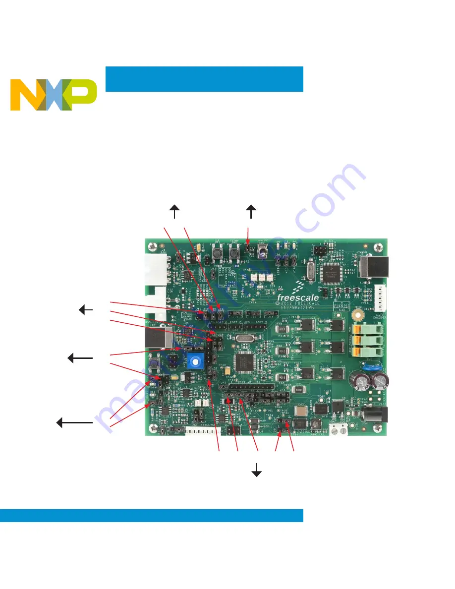 NXP Semiconductors S12 MagniV MC9S12ZVML128 Quick Start Manual Download Page 15