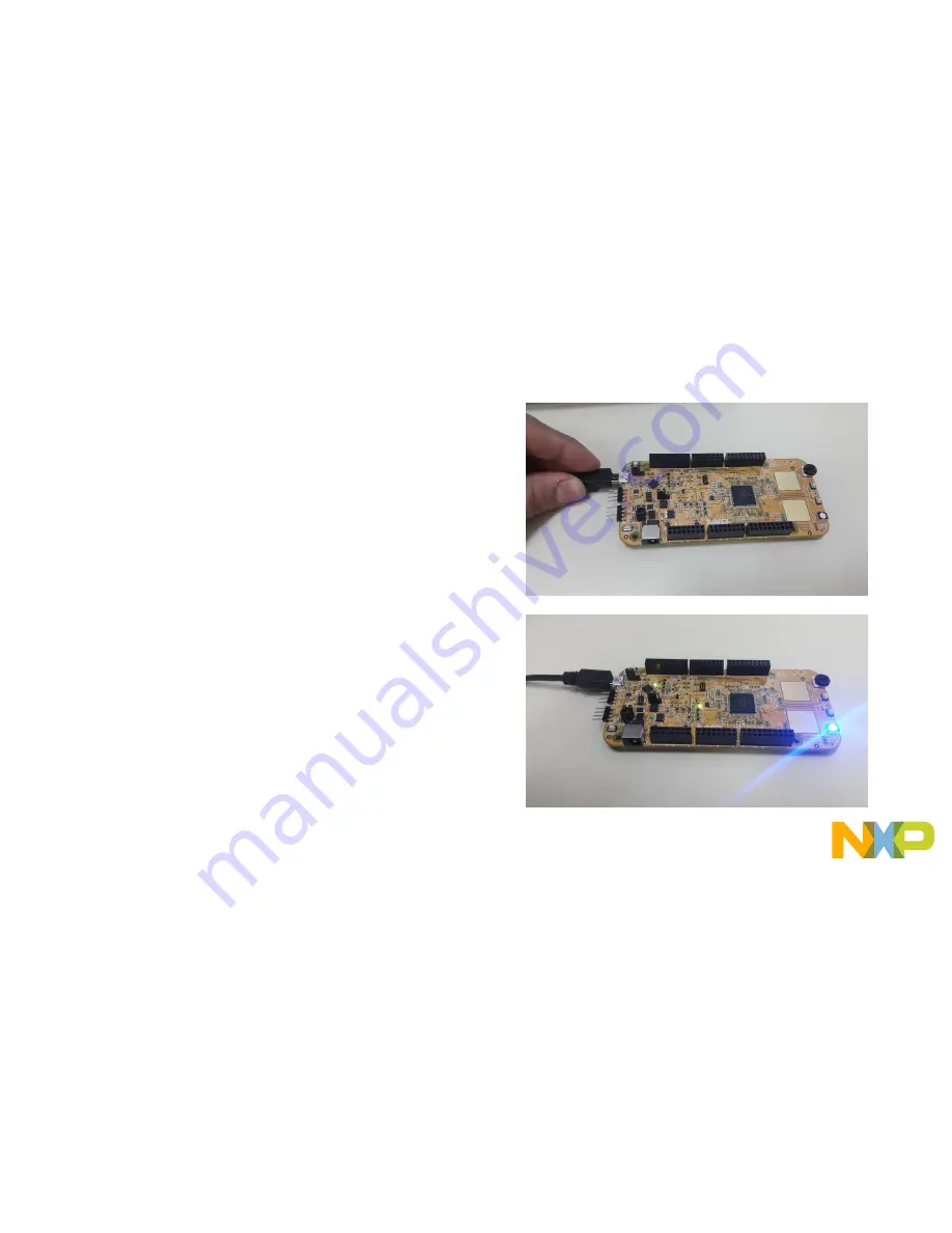 NXP Semiconductors S32K144 EVB Скачать руководство пользователя страница 14