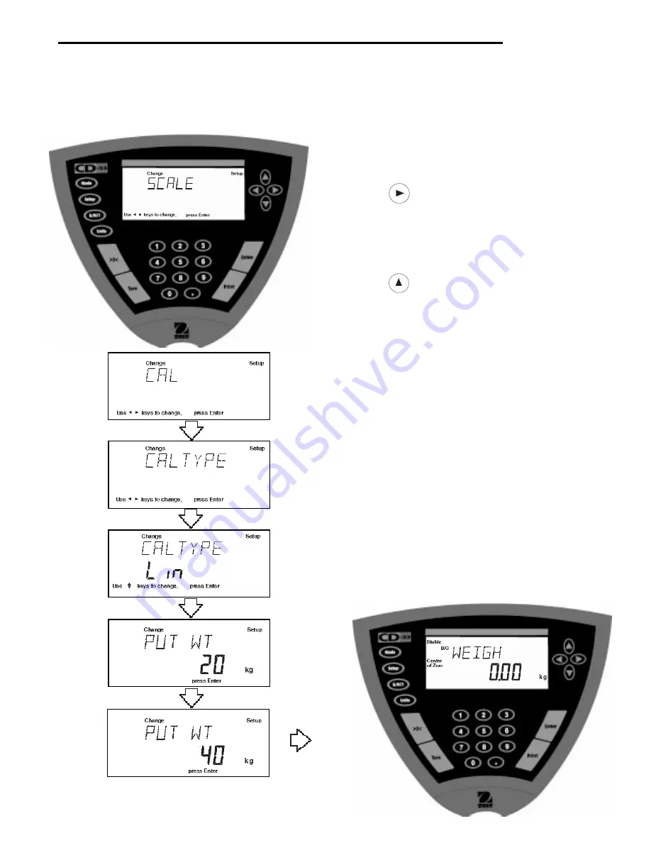 OHAUS CD-31 Скачать руководство пользователя страница 31